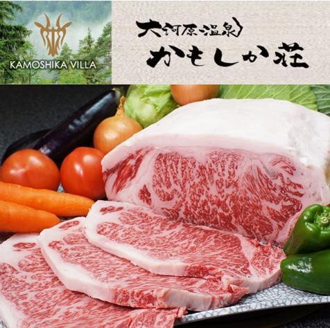 Kamoshikasou 四日市市 外观 照片